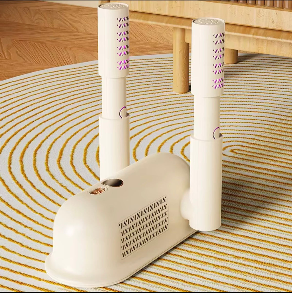 Shoe dryer