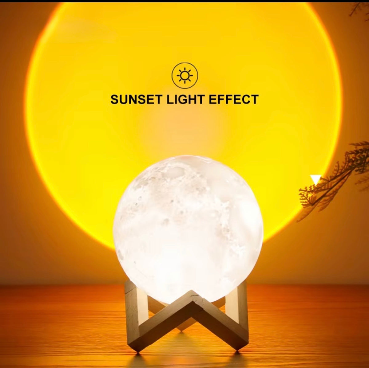 Moon Sunset Light