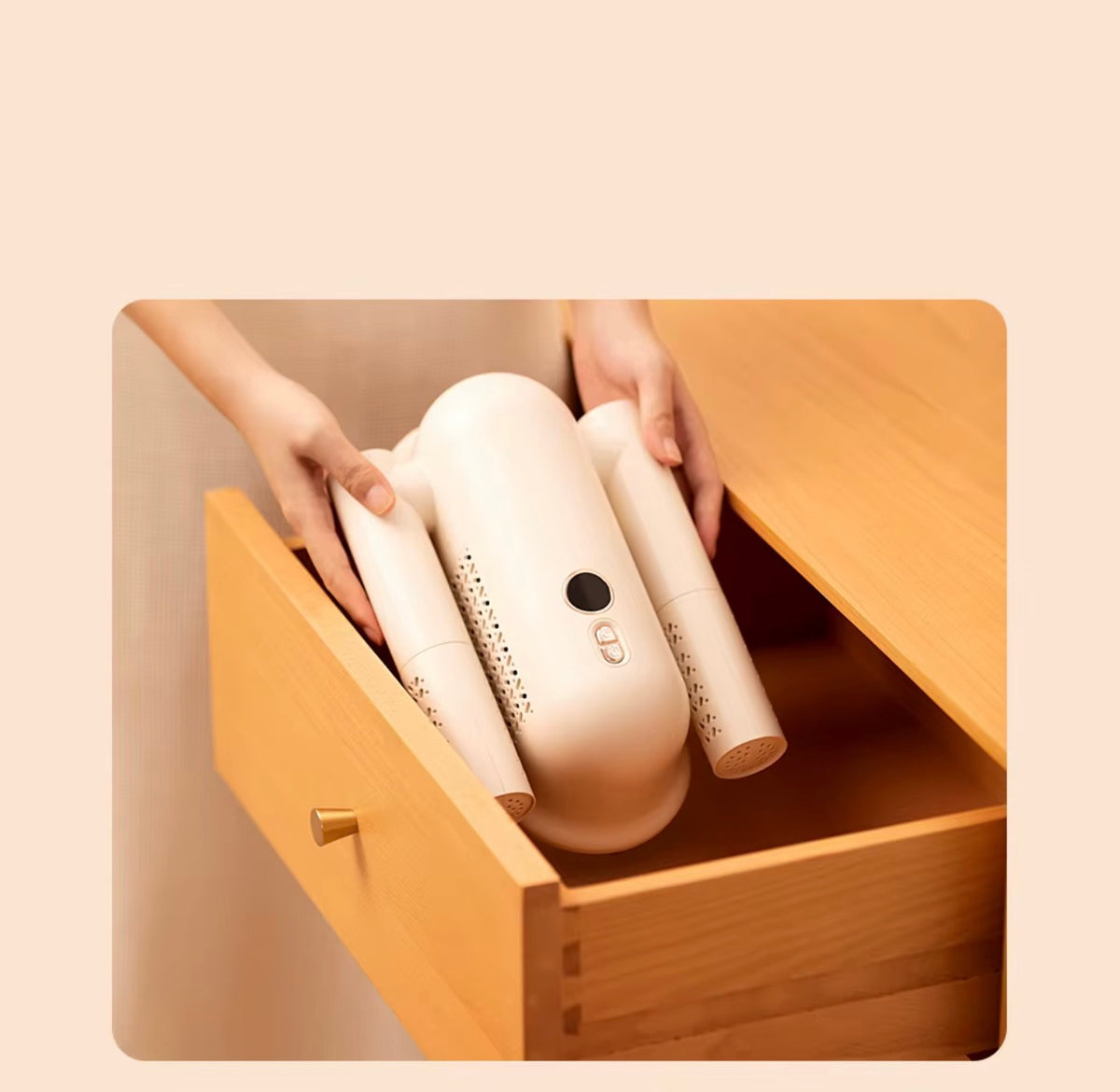 Shoe dryer