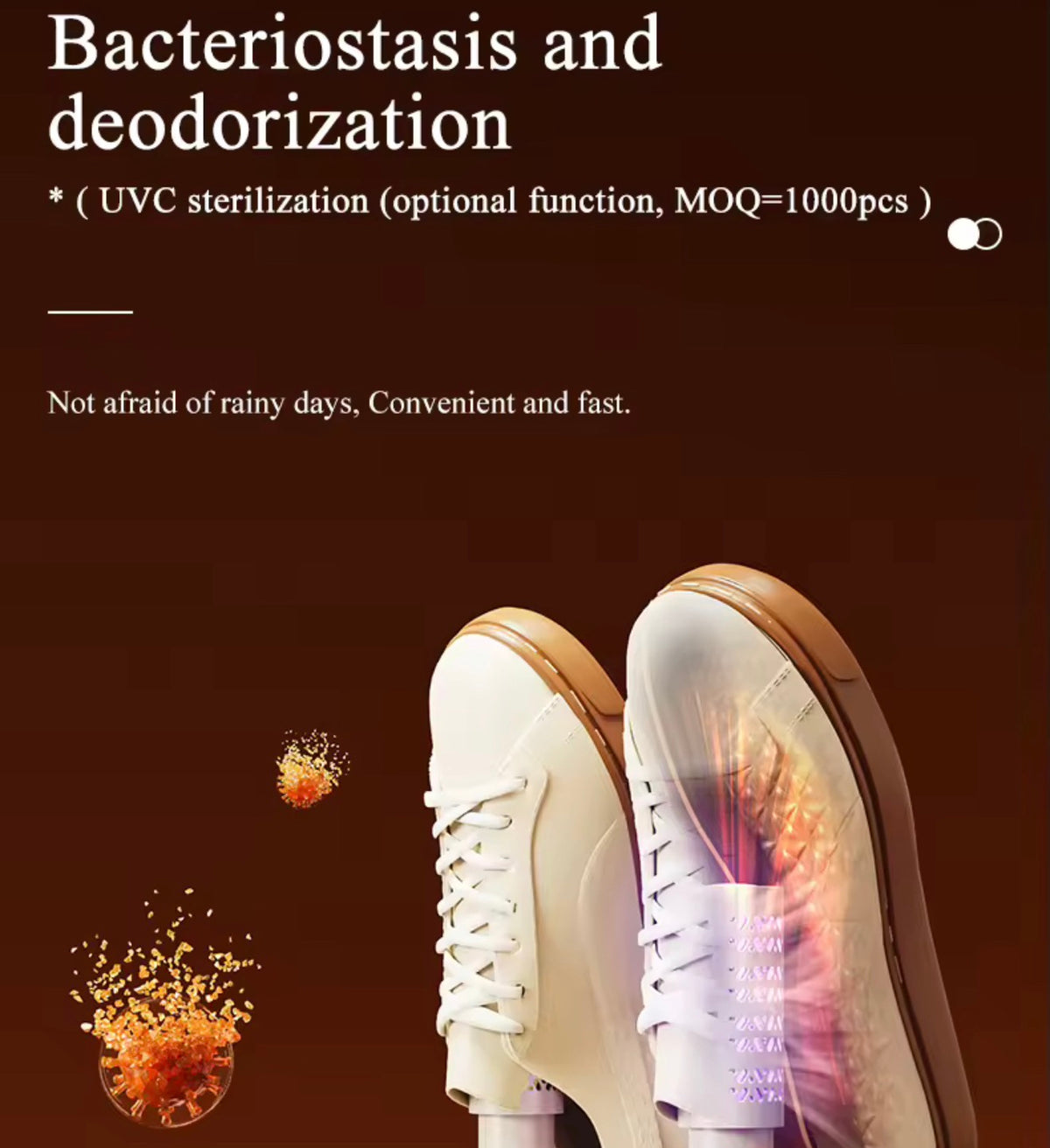 Shoe dryer